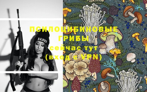меф Пересвет
