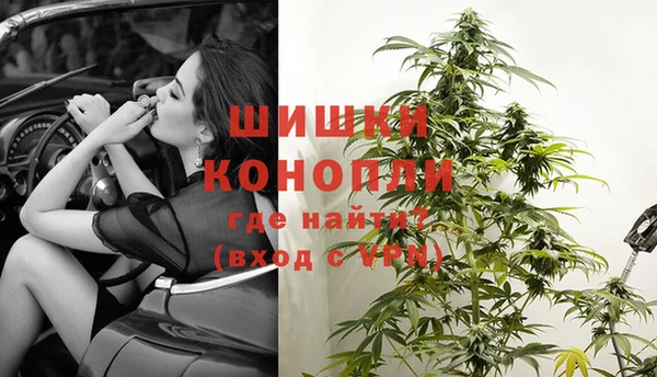 PSILOCYBIN Пестово