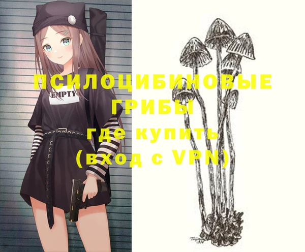 PSILOCYBIN Пестово