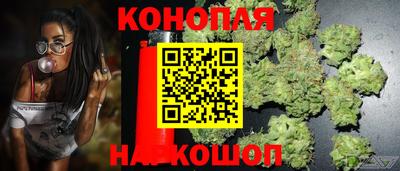 крисы Жуковский