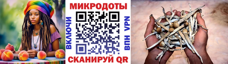 закладки  MEGA tor  Галлюциногенные грибы мицелий  Урус-Мартан 