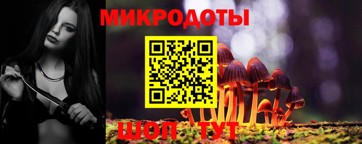 Галлюциногенные грибы Psilocybine cubensis Урус-Мартан